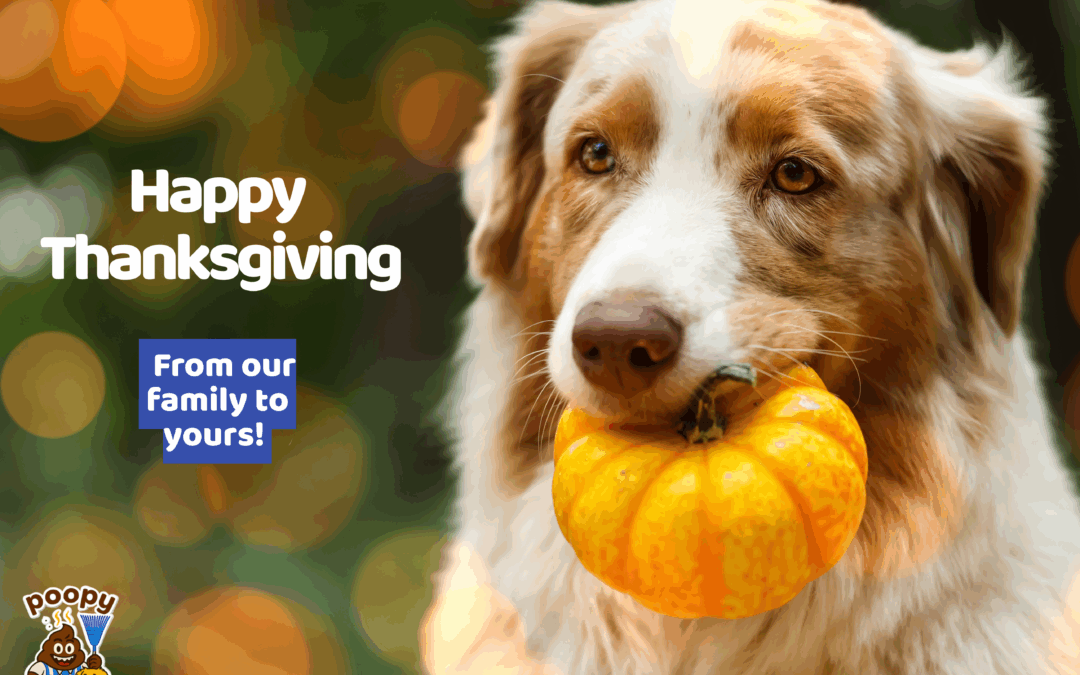 Happy Thanksgiving from our family to yours!
