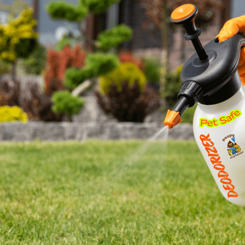 Pet-safe yard deodorizer being sprayed after dog poop cleanup to neutralize odors and bacteria