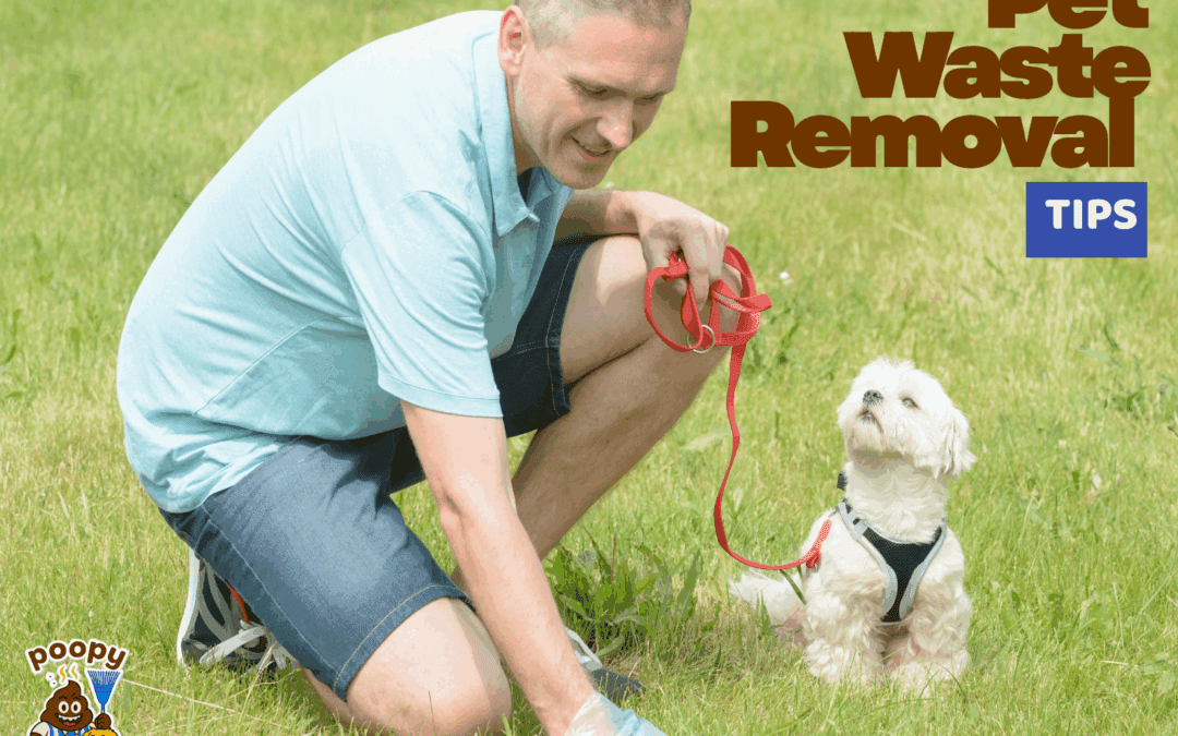 Pet Waste Removal Tips from Poopy Monster