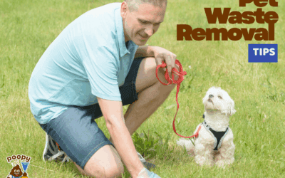 5 Easy Pet Waste Removal Tips for Rochester, NY Homeowners