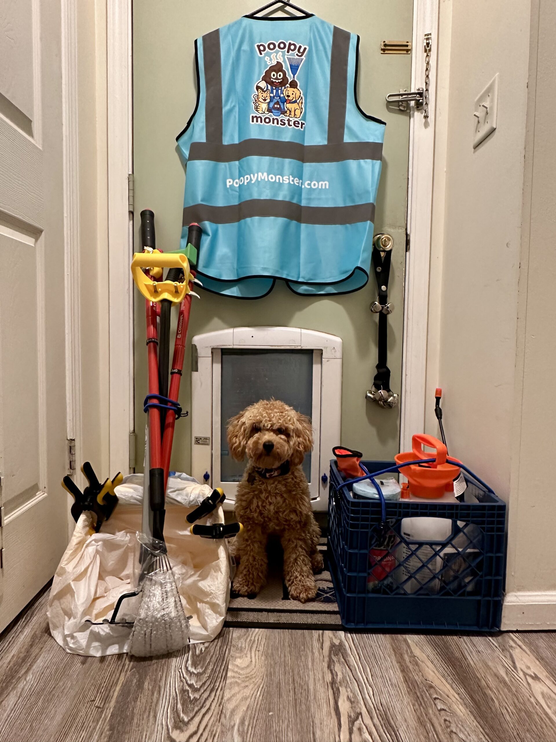 Poopy Monster dog Rocky sitting by pet waste cleanup tools and branded safety vest at home