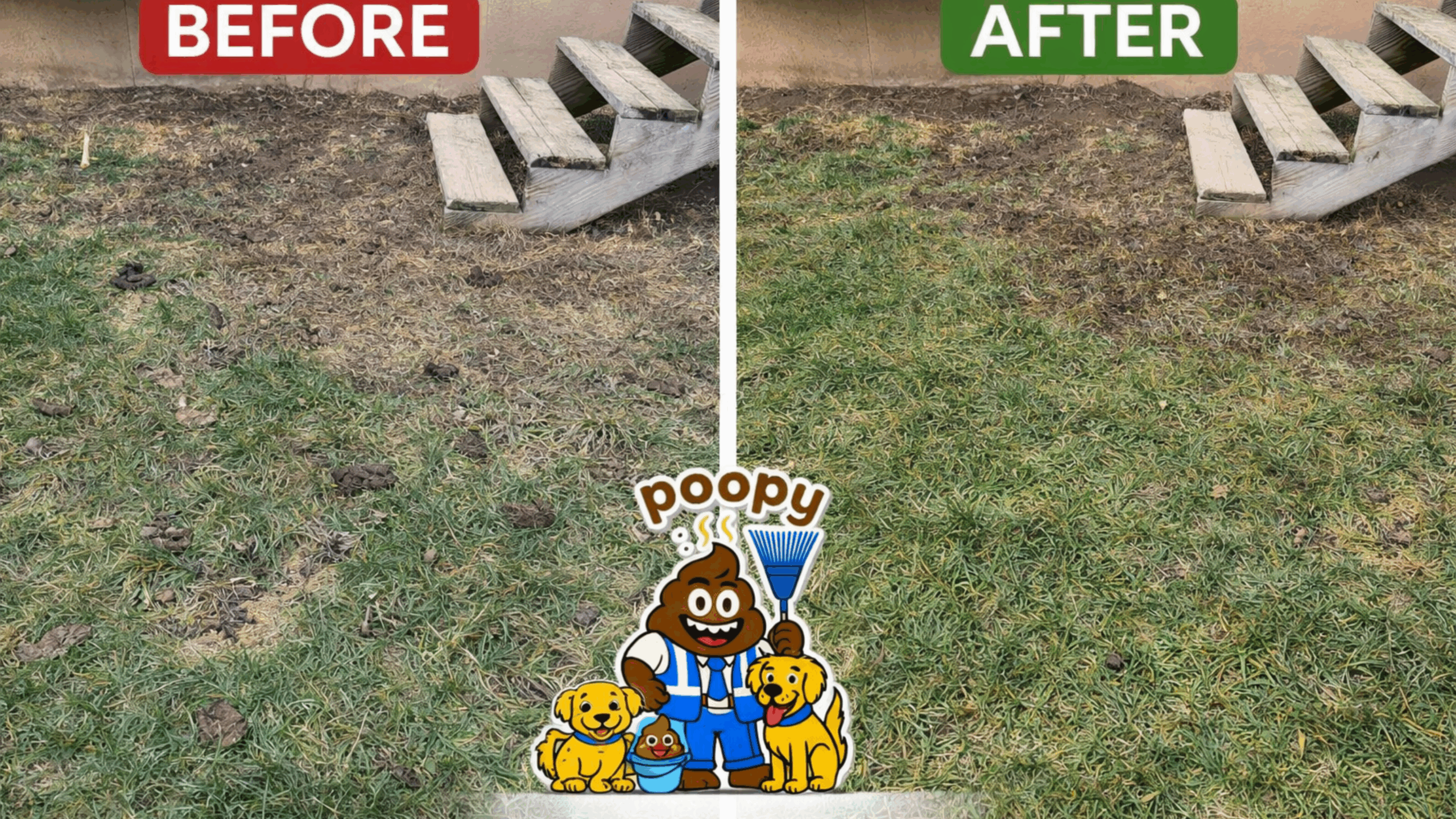Before and after dog poop yard cleanup by Poopy Monster showing pet waste removal results in a residential lawn in Rochester NY
