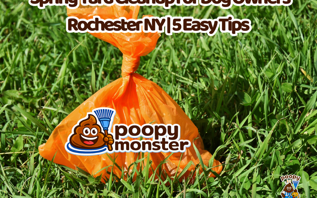 Spring yard cleanup for dog owners in Rochester NY with Poopy Monster pet waste removal service