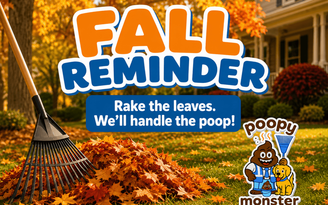 Dog poop cleanup in fall reminder to rake leaves before pet waste removal service