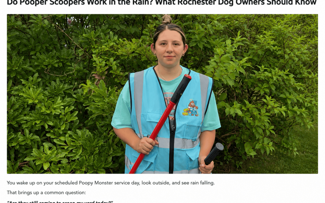 Poopy Monster technician Kaila answering whether we provide poop scooping in the rain in Rochester, NY.